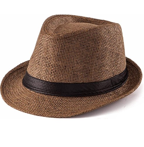 Brown Fedora Hat. Stylish New Look, Unisex