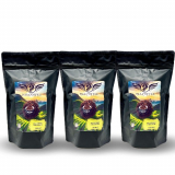 MIA Espresso Cuban Roast Whole Bean Coffee, 1 LB Pack of 3