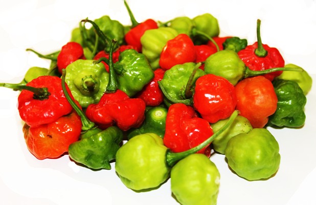 Cachucha Peppers. Fresh Produce 1/4 Pound